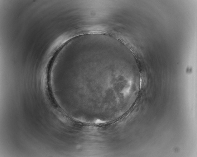 X0000102000339200808151452