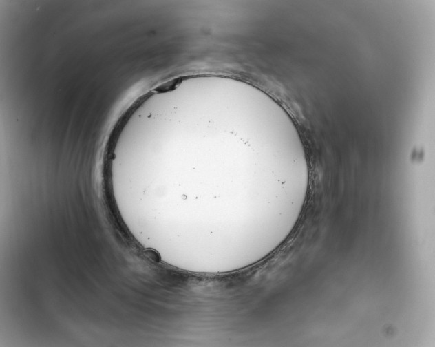 X0000102000340200808151452