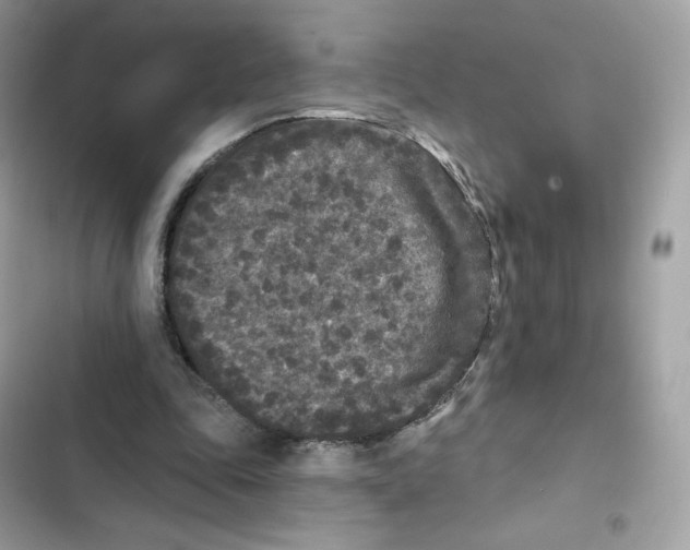 X0000102000343200808151452