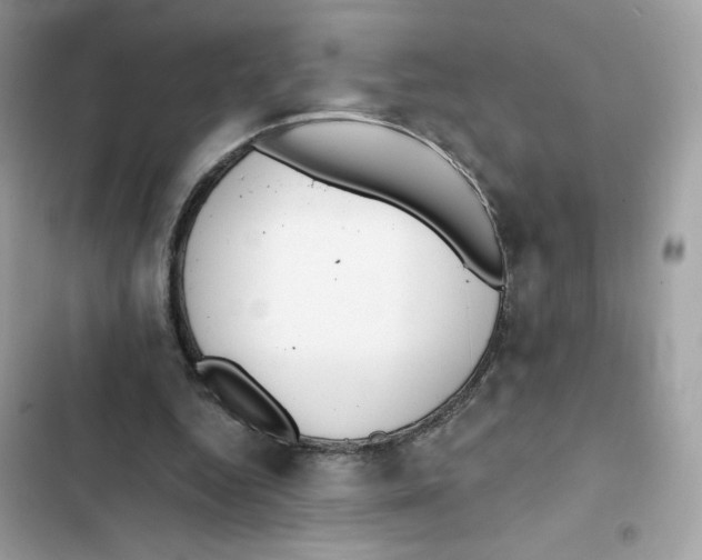 X0000102000344200808151452