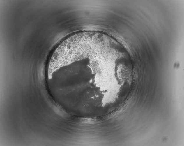 X0000102000347200808151452