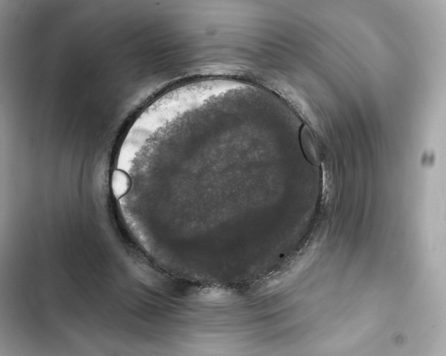 X0000102000348200808151452