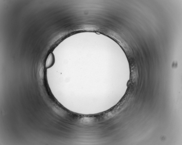 X0000102000350200808151452