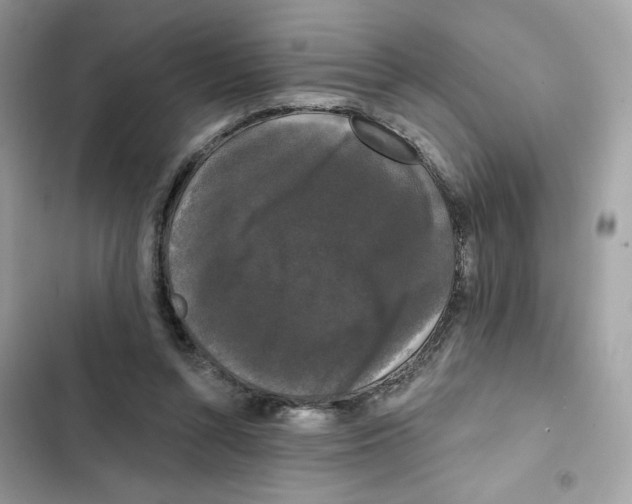 X0000102000352200808151452