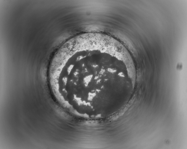 X0000102000353200808151452