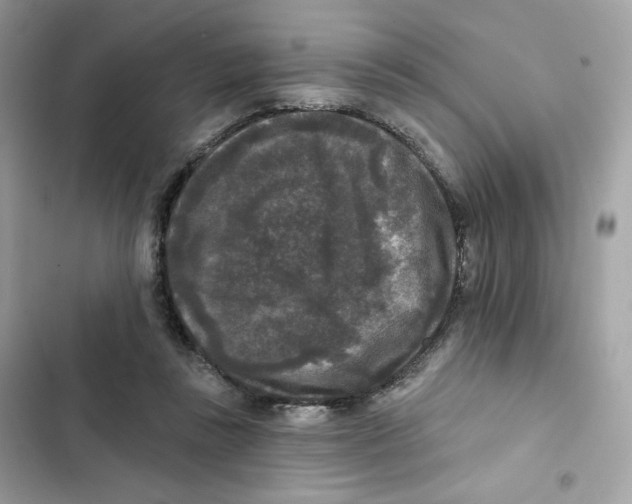 X0000102000355200808151452