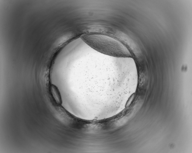 X0000102000356200808151452