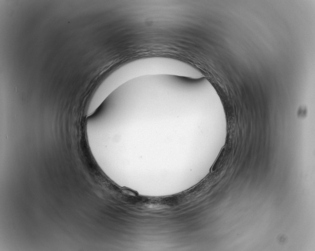 X0000102000360200808151453