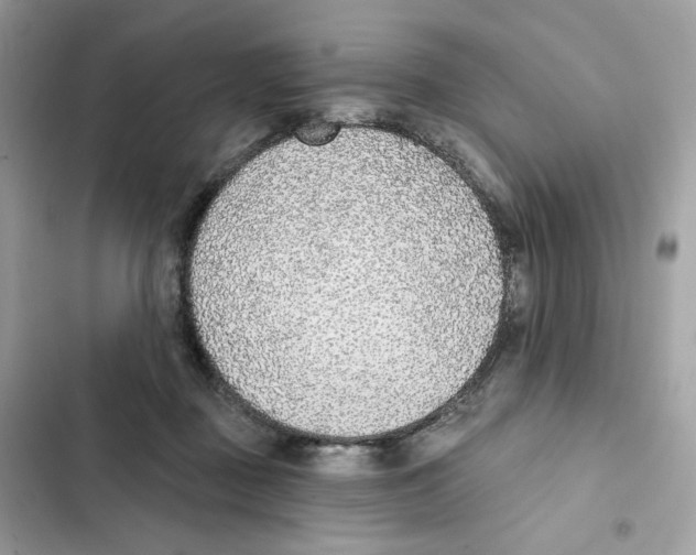 X0000102000363200808151453