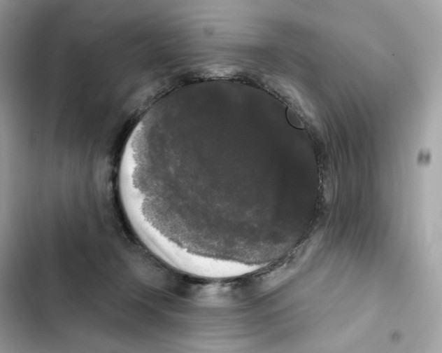 X0000102000366200808151453