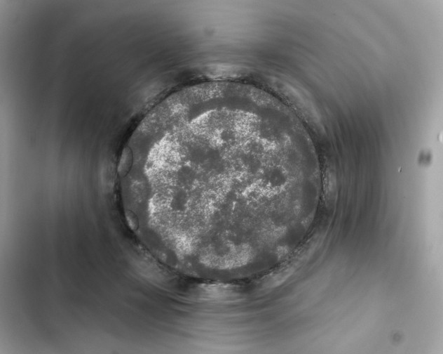 X0000102000367200808151453