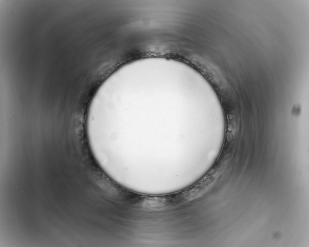 X0000102000369200808151453