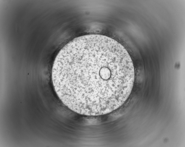 X0000102000370200808151453