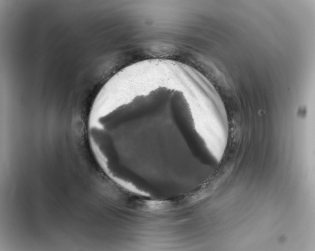 X0000102000371200808151453