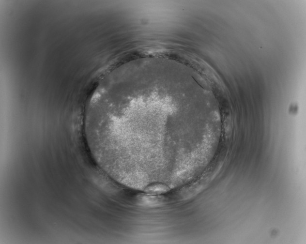 X0000102000372200808151453