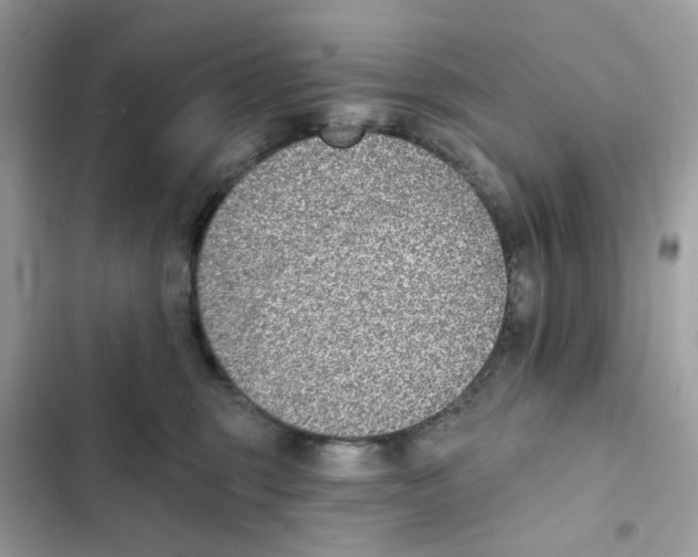 X0000102000375200808151453