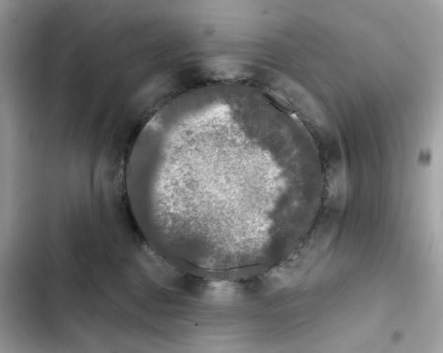 X0000102000376200808151453