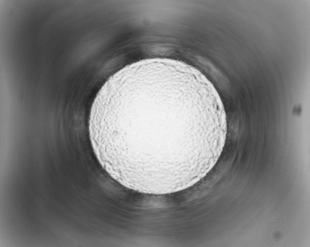 X0000102000377200808151453