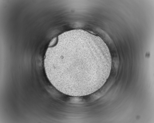 X0000102000380200808151453