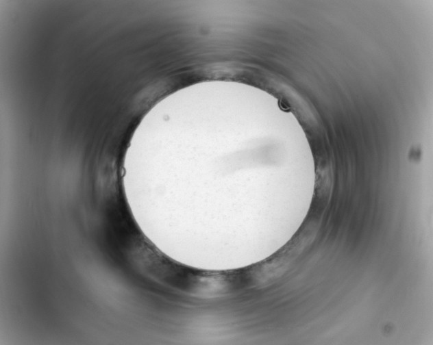 X0000102000381200808151453