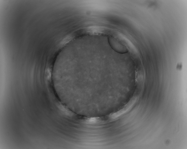 X0000102000382200808151453