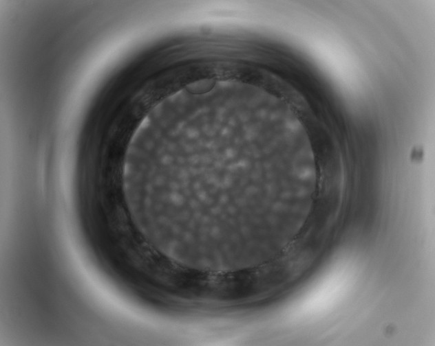 X0000102000383200808151453