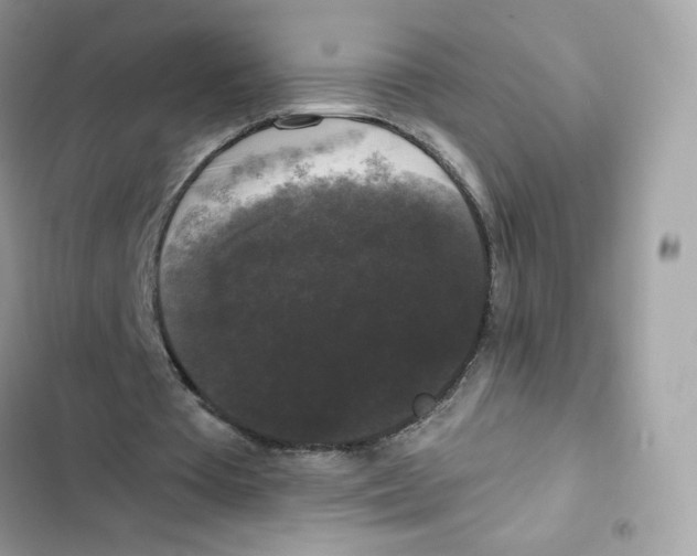 X0000102000385200808151452