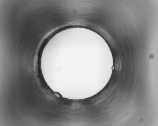 X0000102000388200808151452