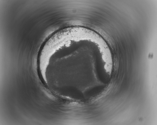 X0000102000390200808151452