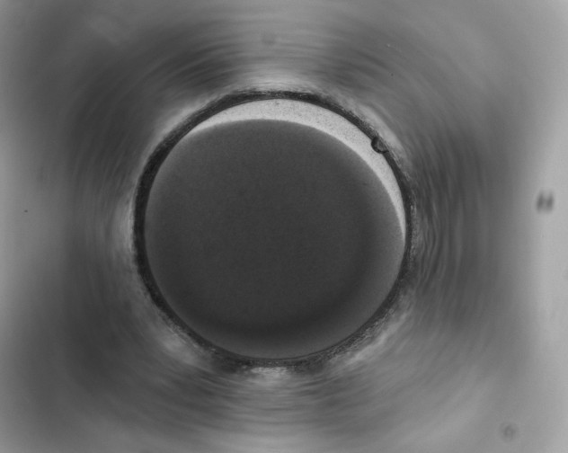 X0000102000391200808151452