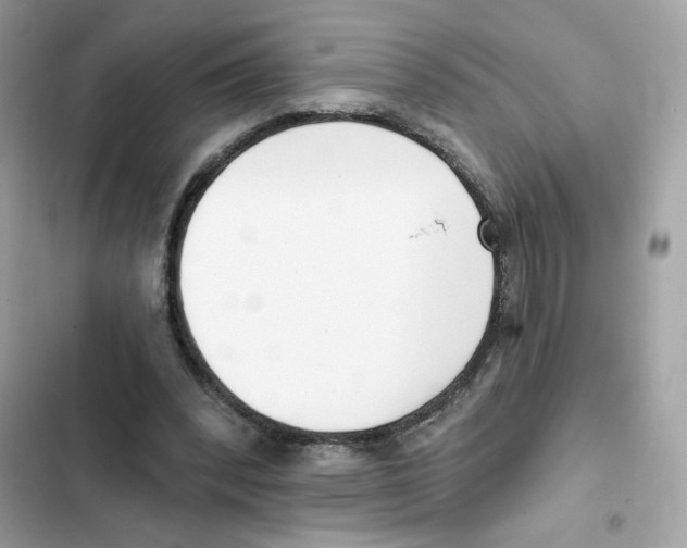 X0000102000392200808151452