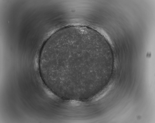 X0000102000393200808151452