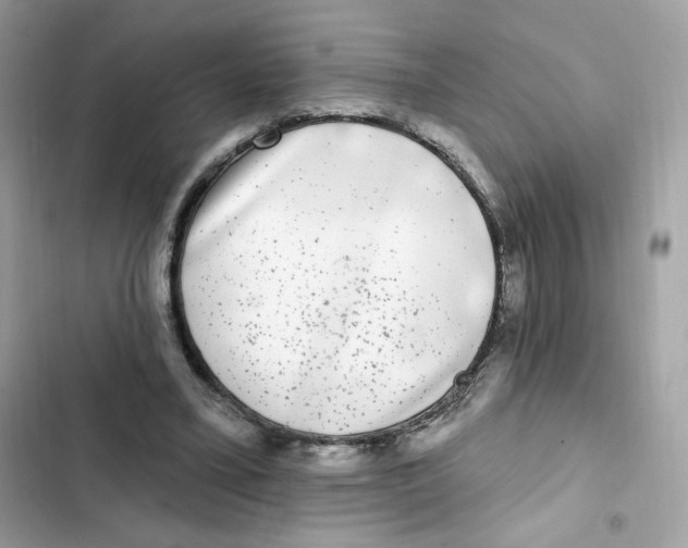 X0000102000395200808151452