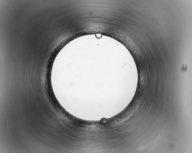 X0000102000396200808151452