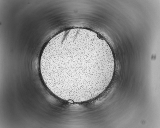 X0000102000397200808151452