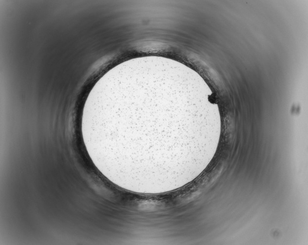 X0000102000400200808151452