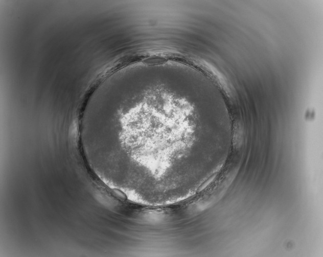 X0000102000405200808151452