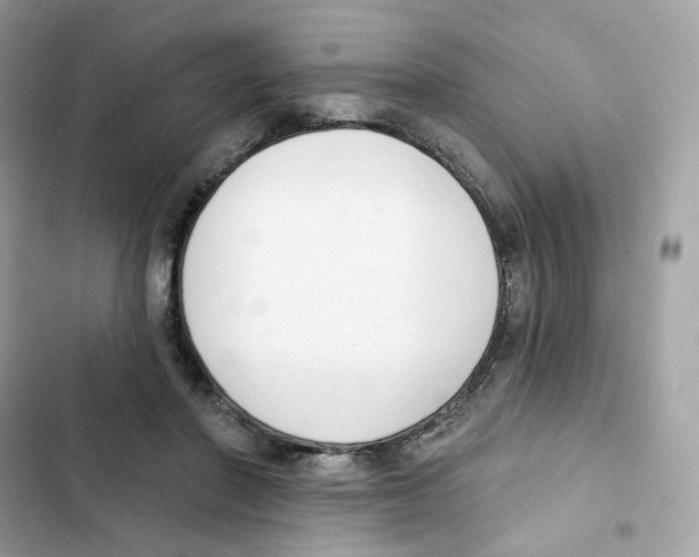 X0000102000406200808151452