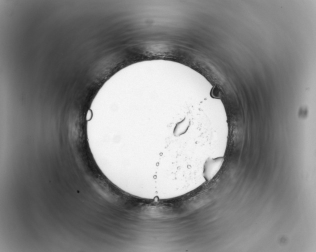 X0000102000408200808151452