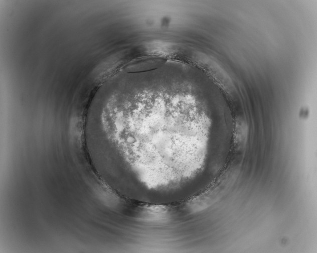 X0000102000409200808151452