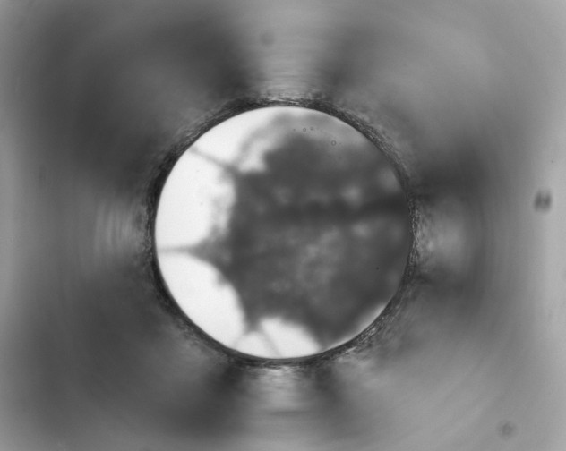 X0000102000411200808151452