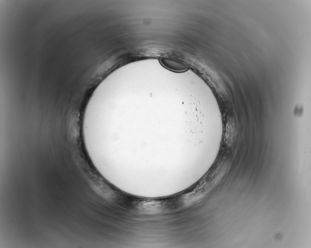 X0000102000413200808151452