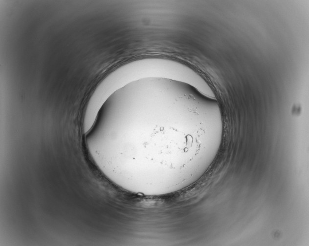 X0000102000415200808151452