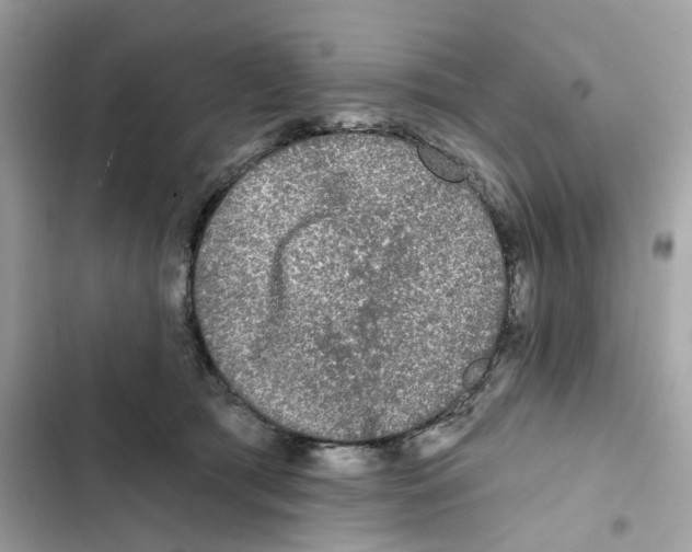 X0000102000417200808151452