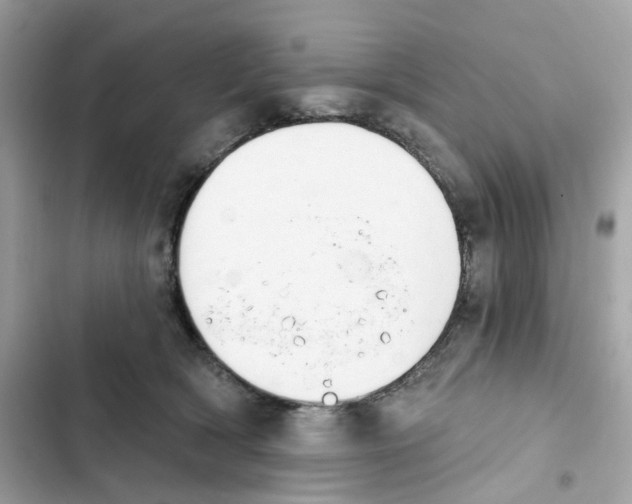 X0000102000418200808151452