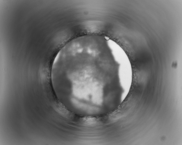 X0000102000419200808151452