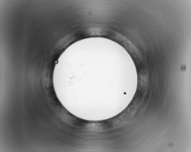 X0000102000422200808151452