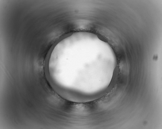 X0000102000423200808151452