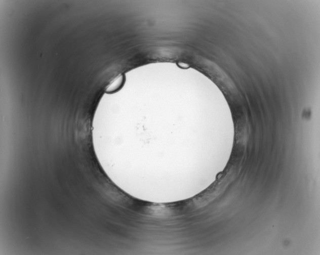 X0000102000425200808151452