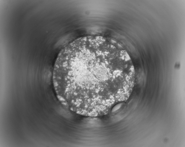 X0000102000427200808151451